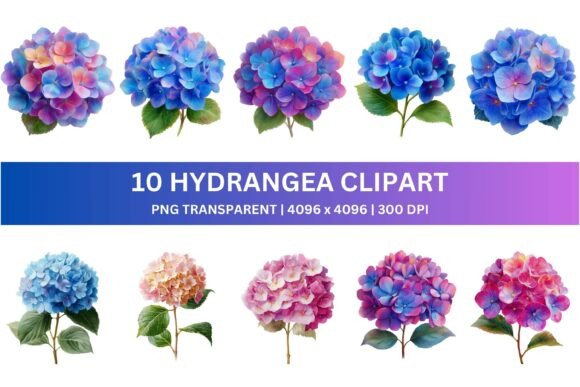 10 Watercolor Hydrangea Clipart for Creative Projects